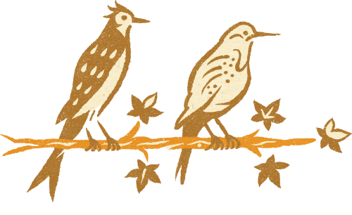 Illustration of two birds on a branch